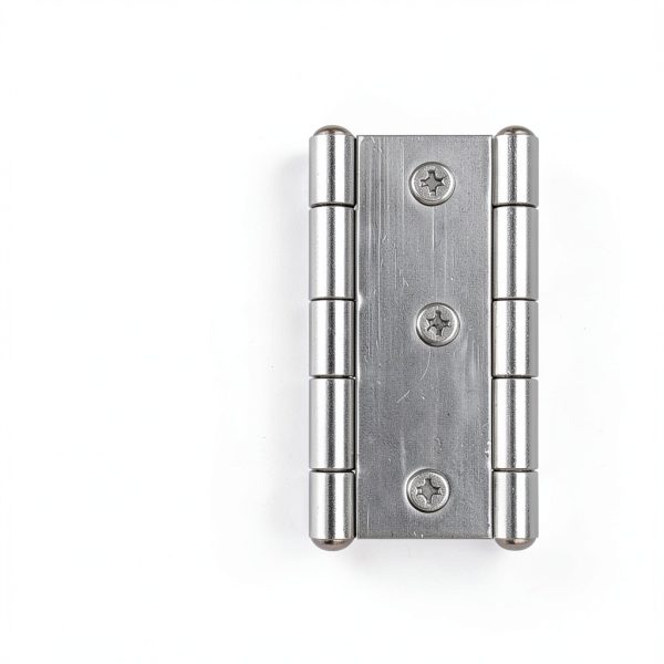 Stainless Steel Hinge QANQIUPLE Door Mount Polished Finish-6