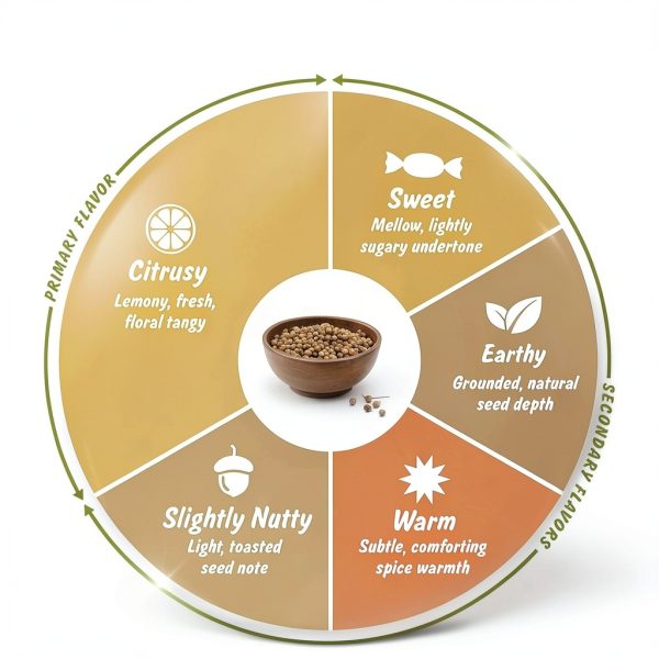 Organic Coriander Seeds by Spice Profile LLC Grocery-7